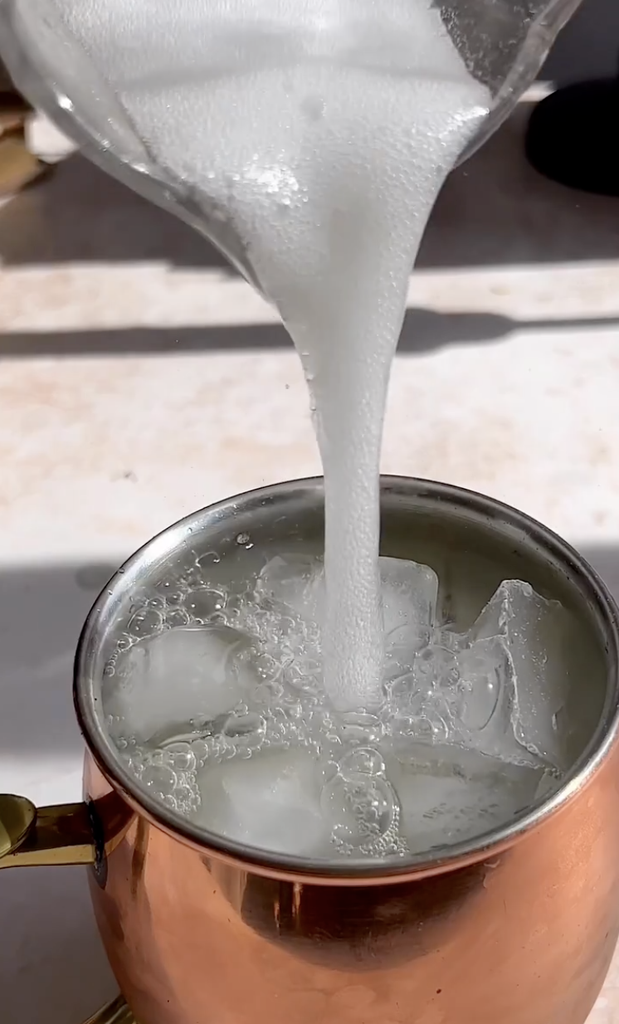 apple cider mule
