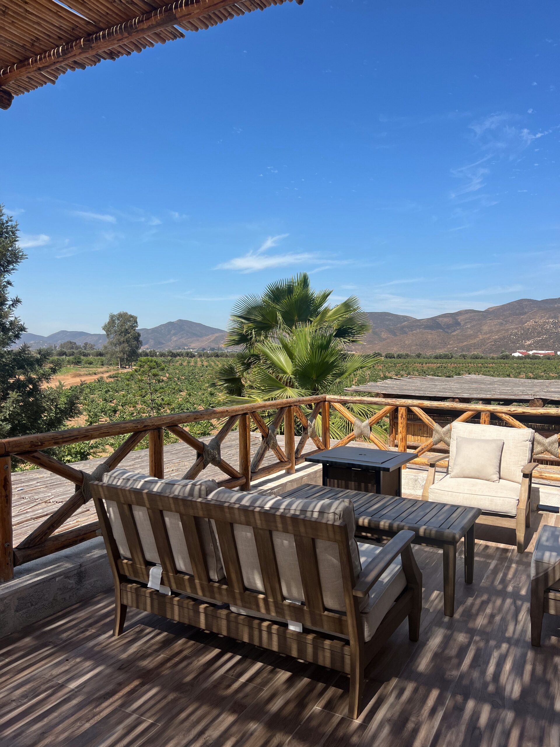 Join Jules in Valle De Guadalupe