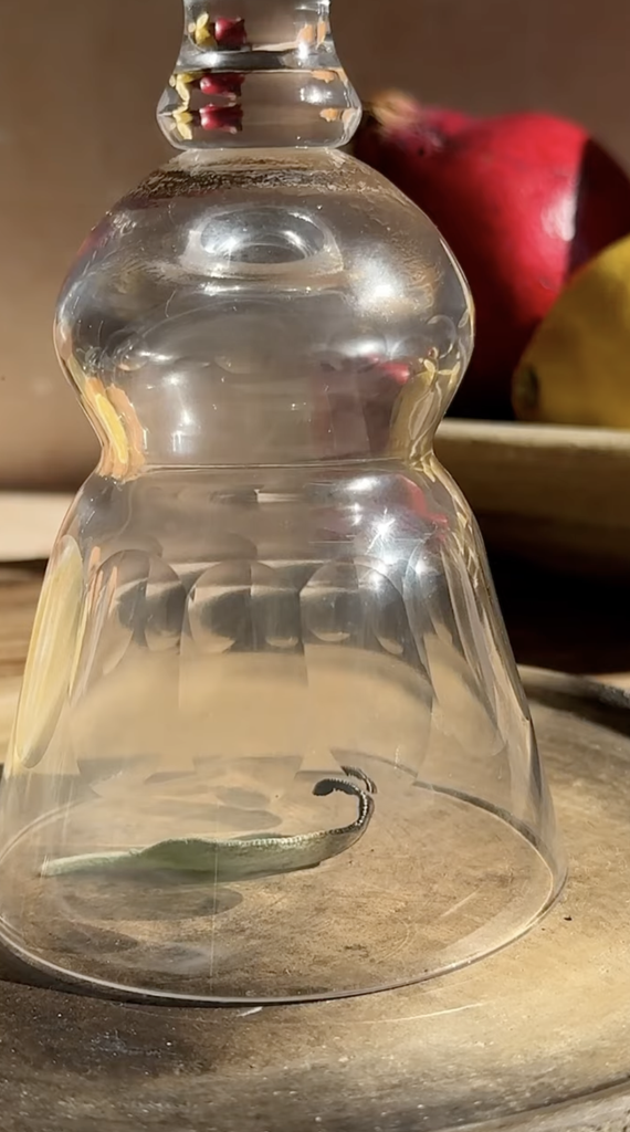 smoked sage leaf glass for sleepy hollow cocktail