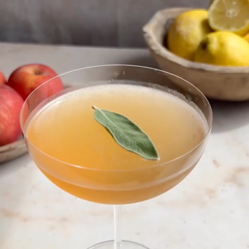 apple cider sidecar