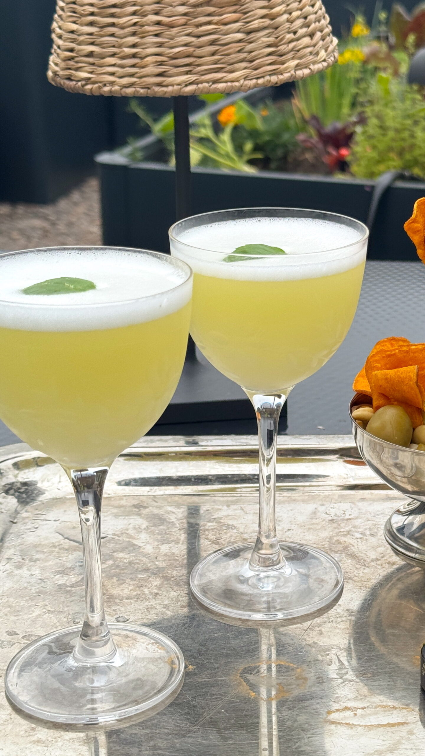 basil limoncello sour