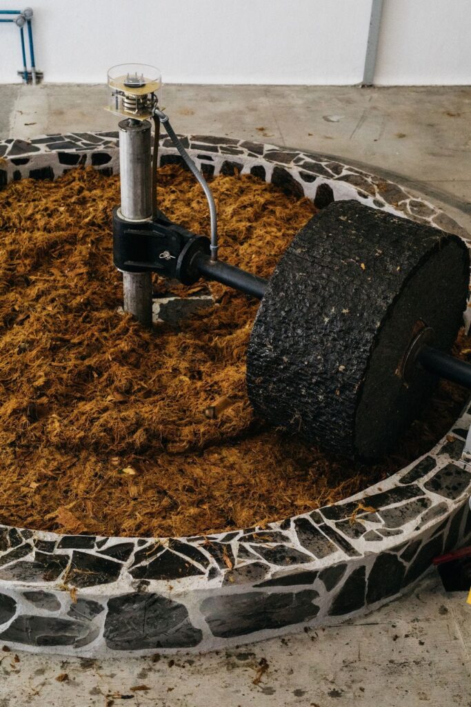 agave grinding