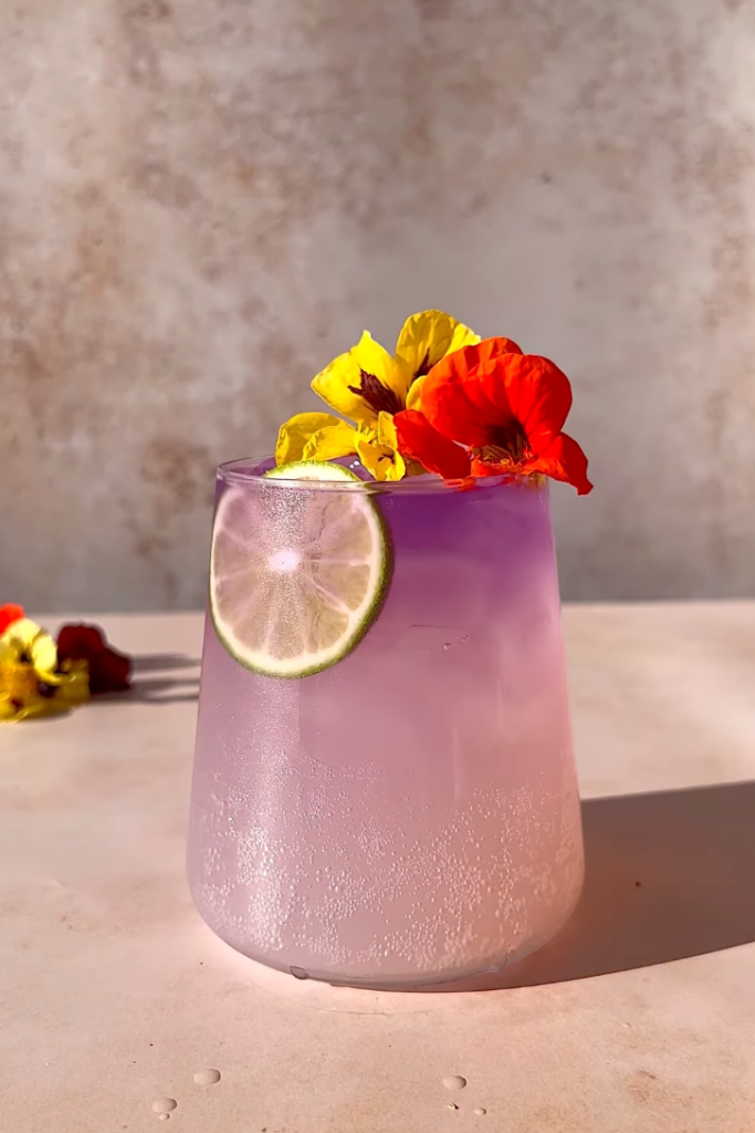 butterfly pea flower gin and tonic