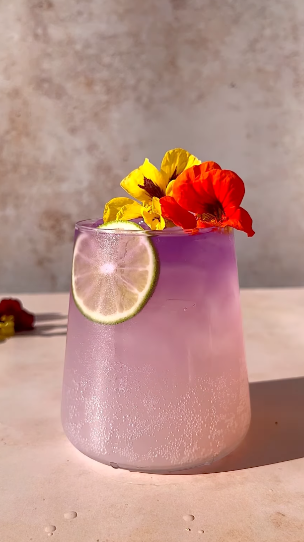 butterfly pea flower gin and tonic