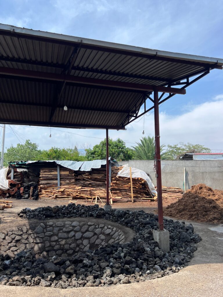 processing agave