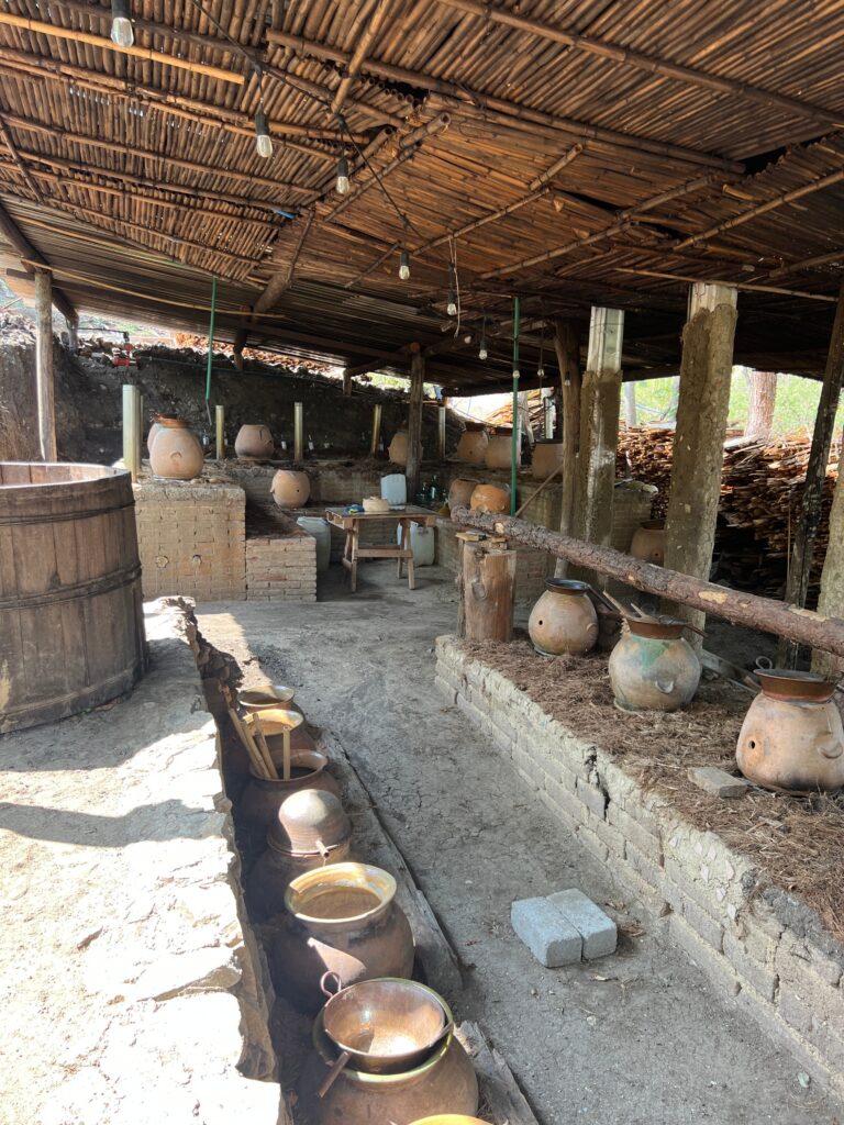 processing agave