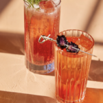 two Americano cocktails