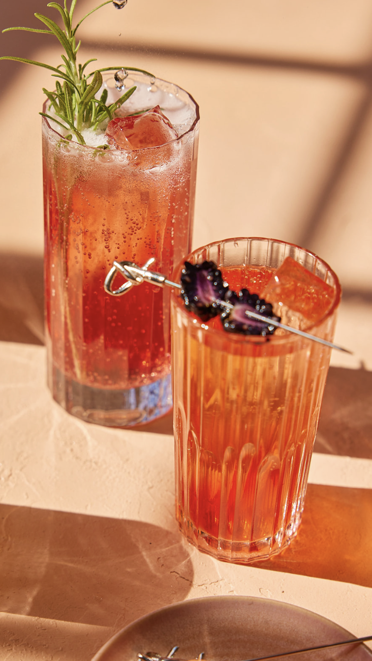 two Americano cocktails