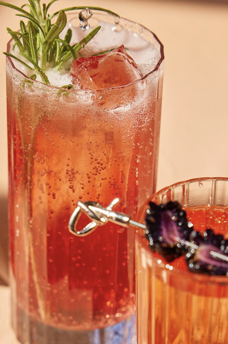 two Americano cocktails