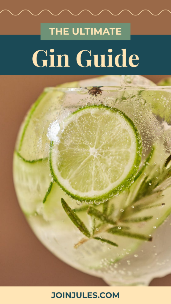 "the ultimate gin guide" with a fizzy gin cocktail