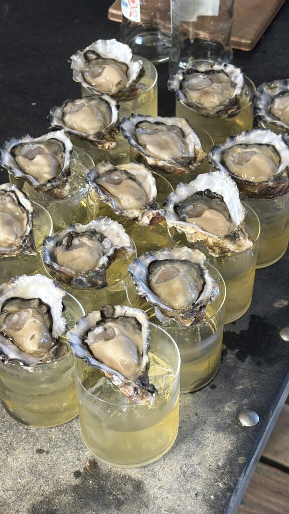 negroni bianco with fresh oysters