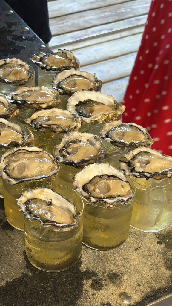 negroni bianco with fresh oysters