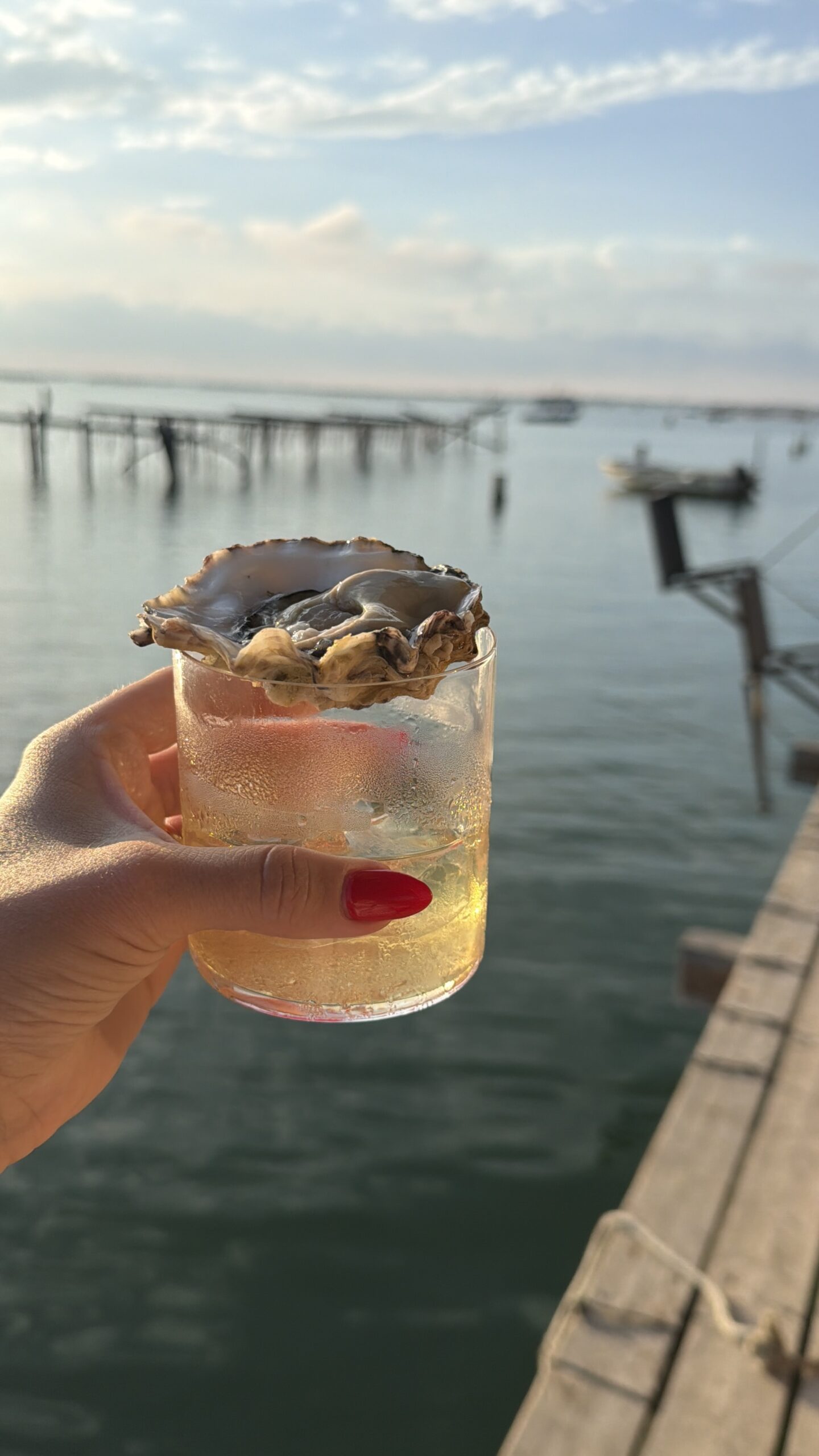 Negroni Bianco with an Oyster