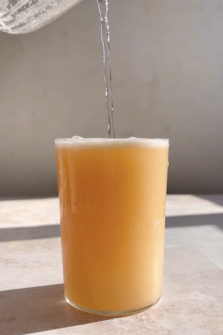 citrus fizz mocktail