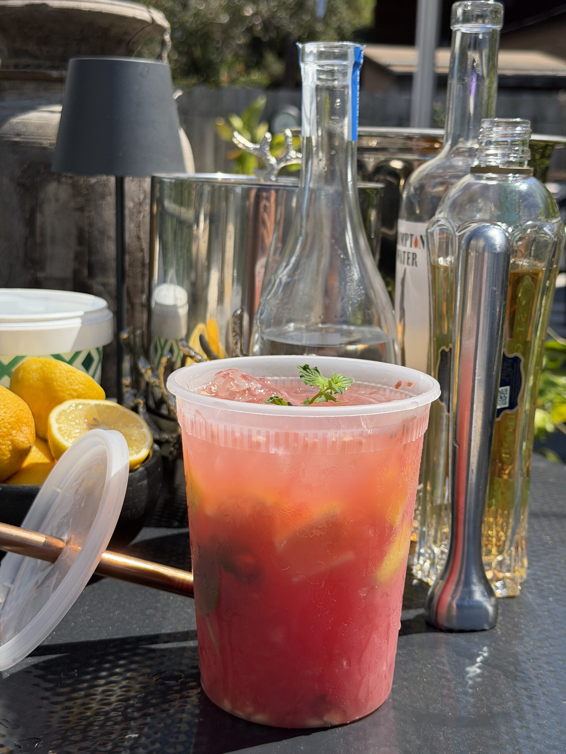 Watermelon Rosé Hugo Spritz
