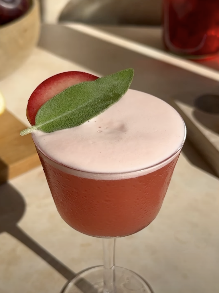 plum negroni sour